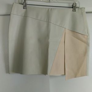 Zara Vegan Leather Skirt